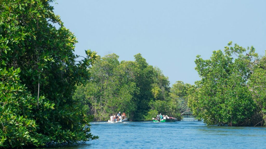 Day tour Hikkaduwa Madu River