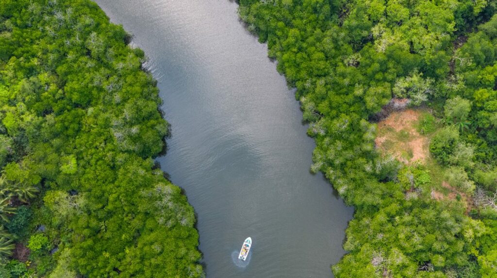 Day tour Hikkaduwa Madu River