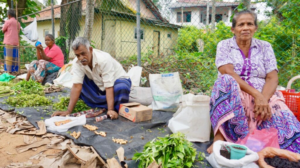 Sunday Market Hikkaduwa