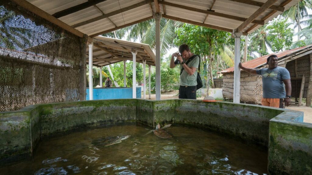 Turtle hatchery Hikkaduwa