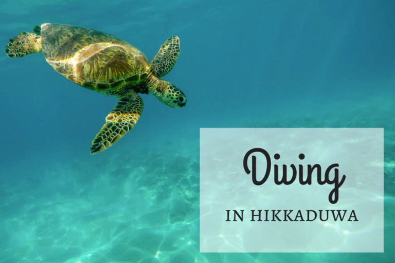 Diving in Hikkaduwa