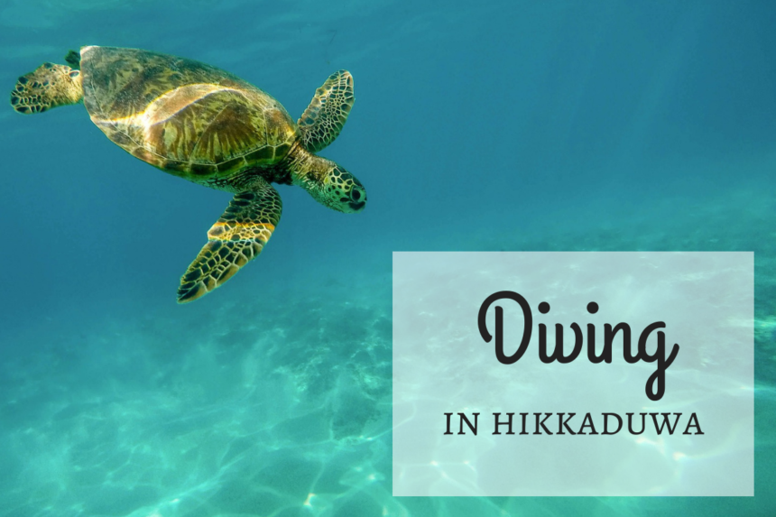 Diving in hikkaduwa