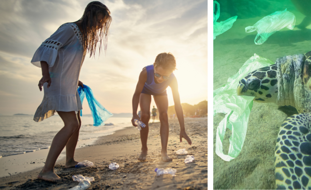 Plastic and polyethene clean in Hikkaduwa - Sustainability measures to protect the beach